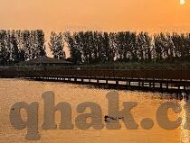 麻豆影视文化传媒app最新版-麻豆影视文化传媒APP最新版剖析，拓宽观影视野的数字平台